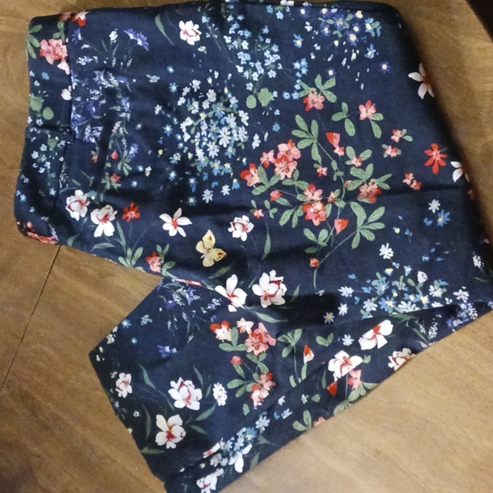New York and Company size 20 pants.